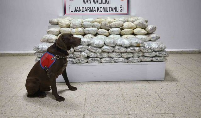 60 kilo uyuştu*rucu ele geçirildi