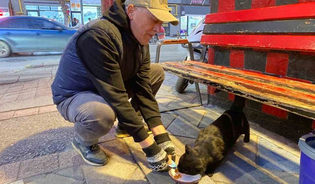 Bu taksi durağı esnafın hayvan sevgisi ile öne çıkıyor