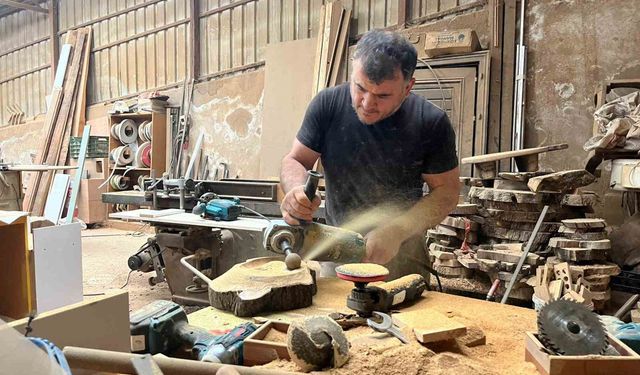 Çürümüş zeytin ağaçlarını sanat eserine dönüştürüyor