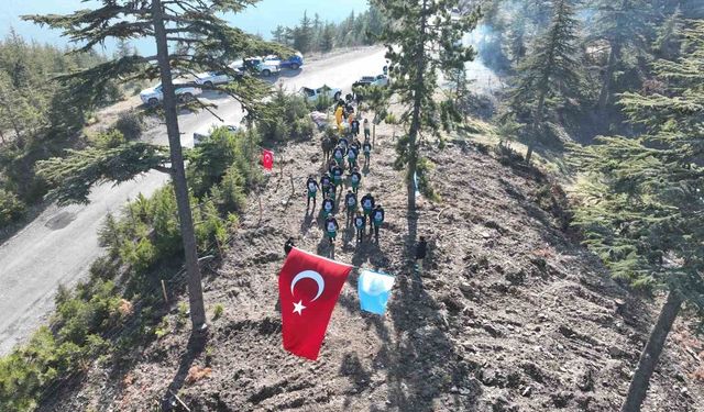 Bir ton tohum toprakla buluştu