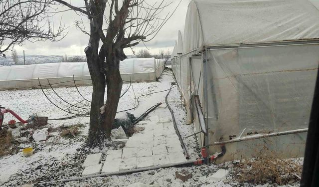 Kar yağışı sebebiyle seralar buz tuttu