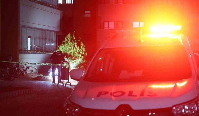 Zanlı, 'Kolumda Ebru yazıyor' diye kendini savundu