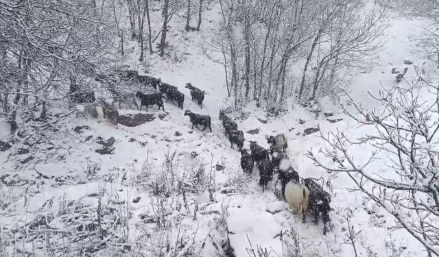 Yüksek rakımlı köylerde kar etkili oldu
