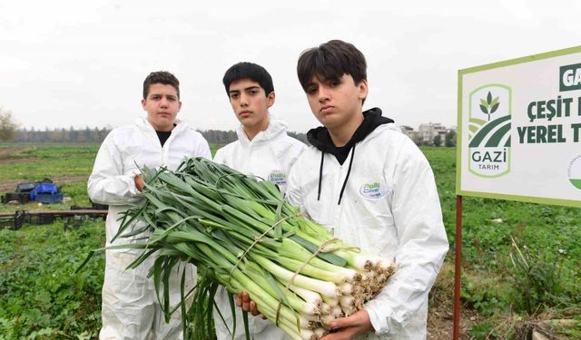 Osmangazi'de pırasa hasadıyla doğallık sofralara taşınıyor