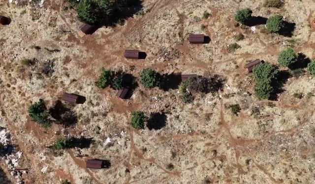 Sokak hayvanları sıcak yuvaya kavuştu