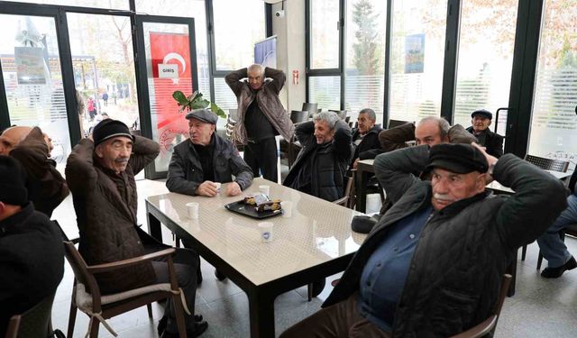 Çınarlar hayata hareket ediyor