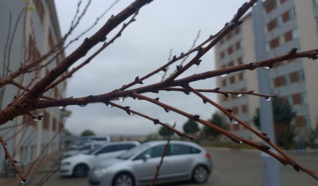 Niğde güne yağmurla uyandı