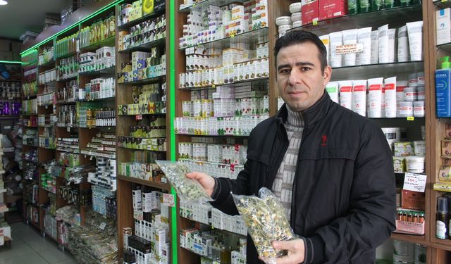 Niğde’de uyku sorunlarına bitkisel çözümler