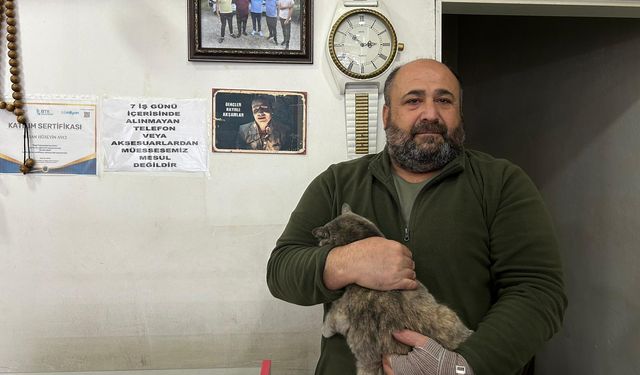 Niğdeli esnaftan örnek davranış: Yaralı kediye sahip çıktı