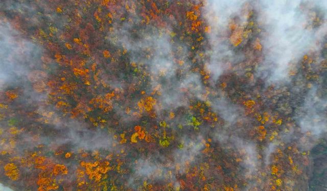 Yılın son günlerinde kartpostallık görüntüler