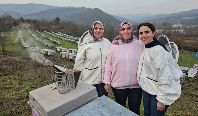 Anne ve kızları arıcılık mesleğiyle kestane balı üretiyor