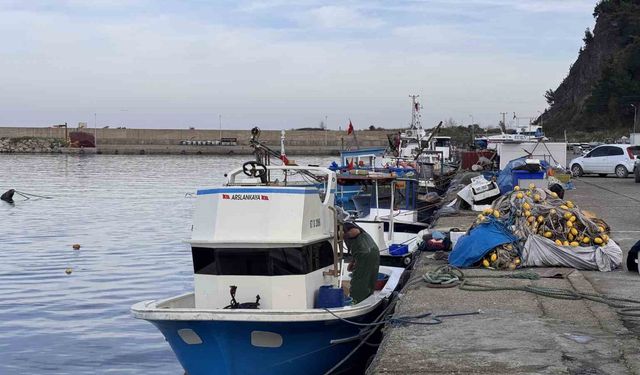 Hamsi yoğunluğu yaşandı, palamut çıkmadı