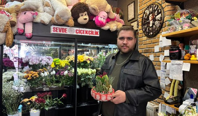 Niğde’de sukulent ve kaktüsler ofislerin gözdesi