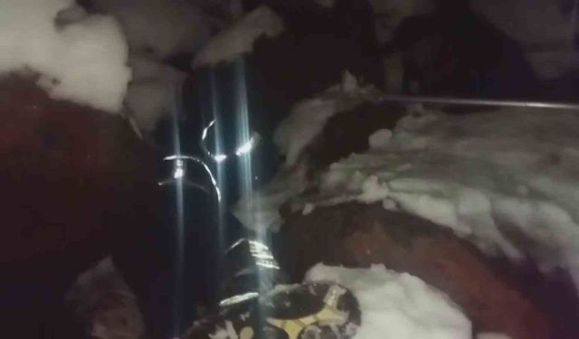 Ölümü bekleyen yavru köpekleri itfaiye kurtardı