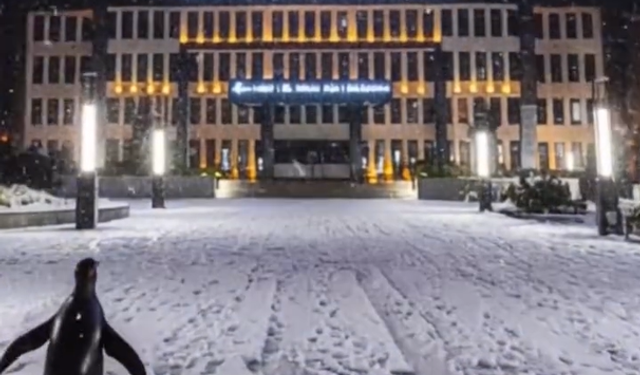 Viral Penguenden Niğde’ye tam not