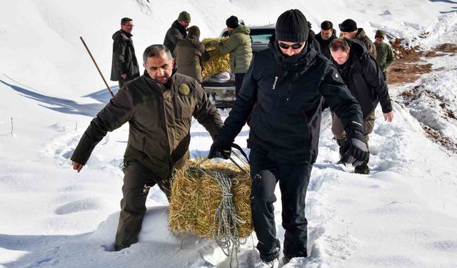 Aç kalan yaban hayvanları için seferberlik
