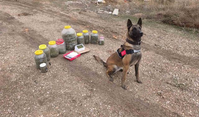 Uyuş *turucu operasyonu: 1 gözaltı