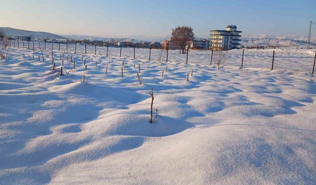 Kar yağışı çiftçiye umut oldu