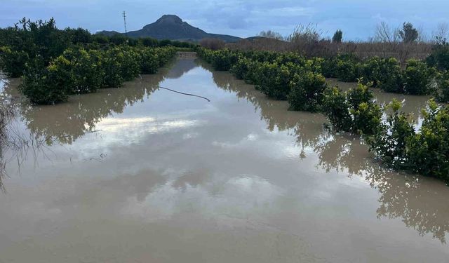 Şiddetli yağış, tarlaları sular altında bıraktı