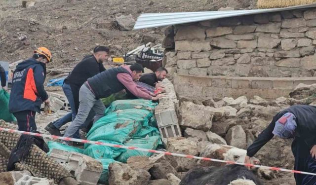 Yağmur ve rüzgardan ahır hayvanların üzerine çöktü