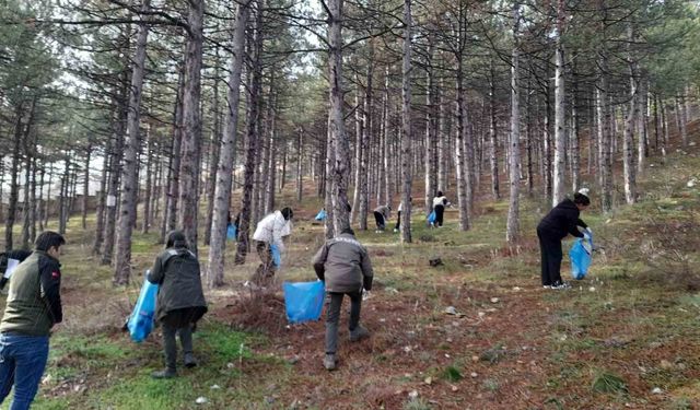 Orman yangınlarına karşı örnek çalışma