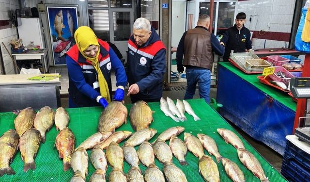 Beyşehir Gölünde avcılık falliyetleri denetim altındı