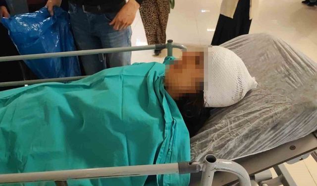 Köpeklerin saldırısına uğrayan genç kız yaralandı