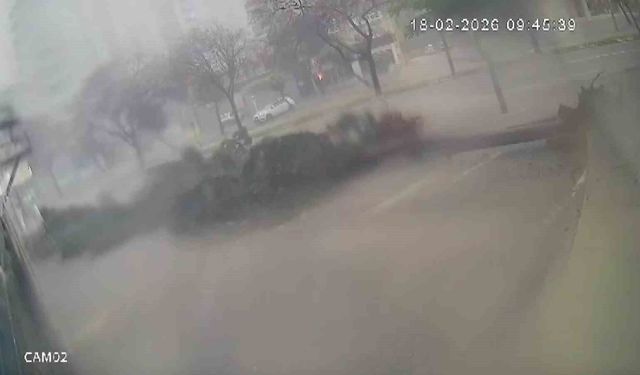 Fırtına dev ağaçları kökünden söktü