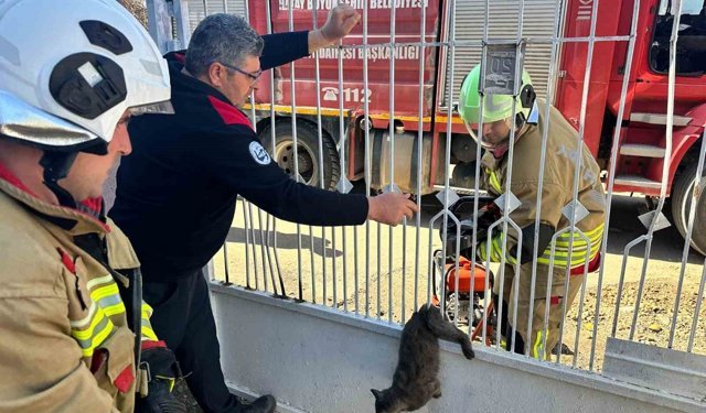 Kapı korkuluğuna sıkışan kediyi itfaiye kurtardı