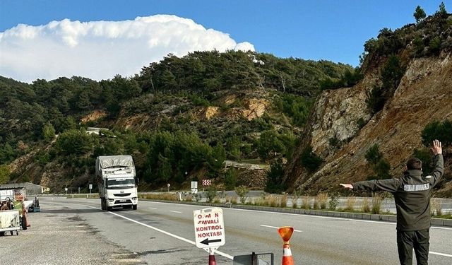 Orman suçlarına eş zamanlı denetim