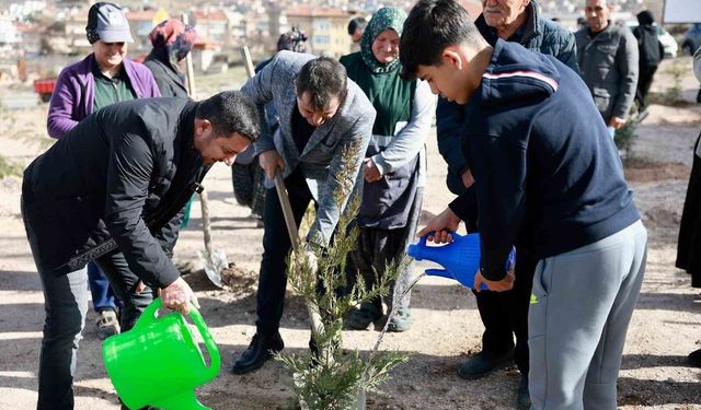 Binlerce fidan toprakla buluştu