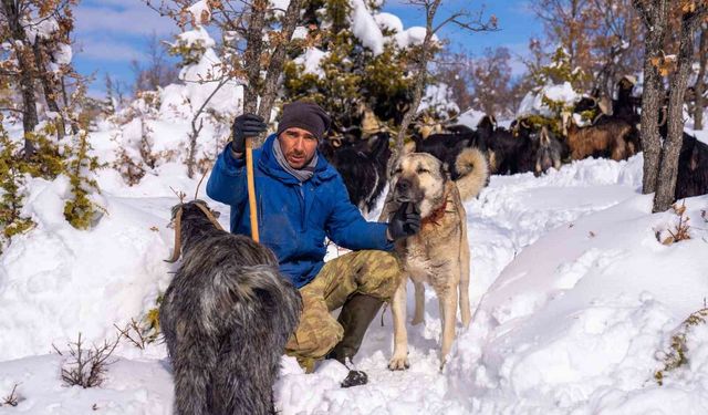 Öldürülen köpeğine otopsi yaptırdı, sorumluların bulunmasını istiyor