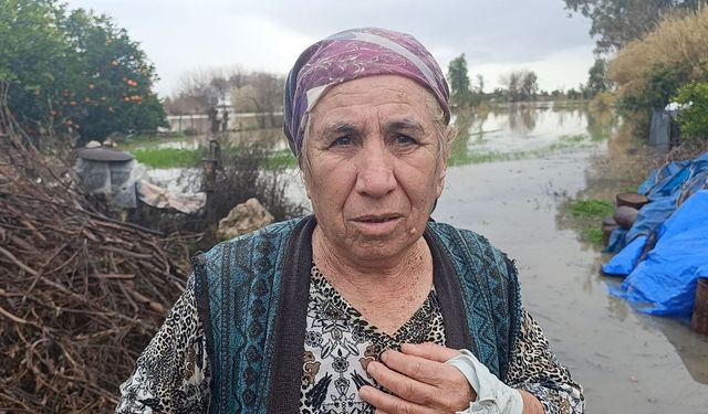 Selde mahsur kalan köpeği AKOM ekipleri kurtardı