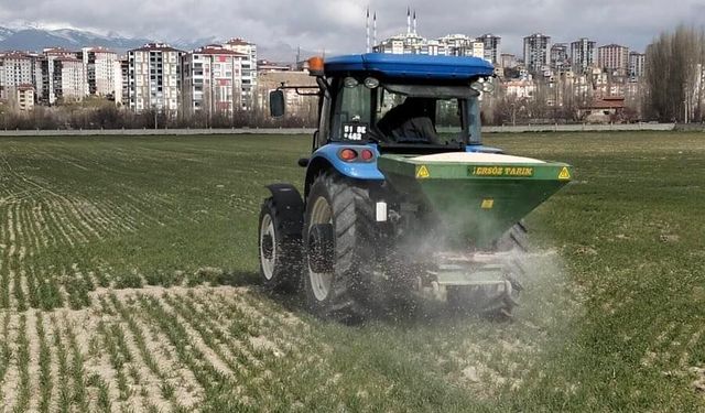 Niğde’de yerli buğday çeşidinde üst gübreleme yapıldı