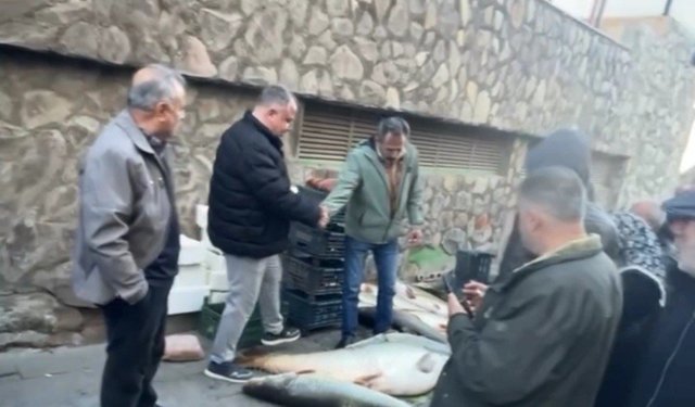 Kurban pazarlığını aratmayan görüntü