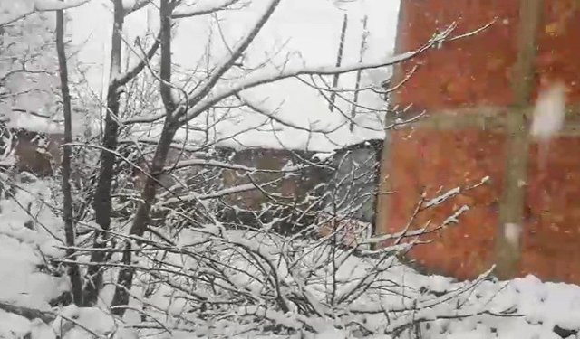 Mart ayında kar sürprizi