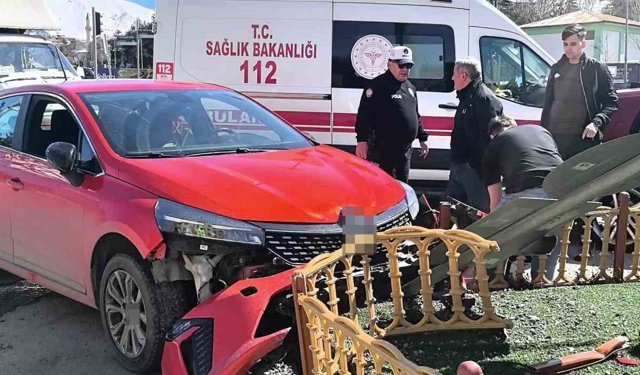 Köpek üzerine atlayınca direksiyon hakimiyetini kaybetti