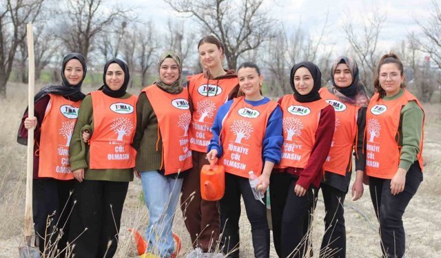 Erozyon sahasına fidan dikildi