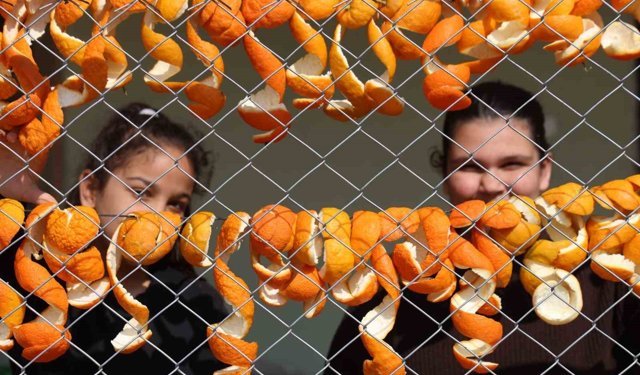 Limon ve turunç kabukları kadınların elinde değerleniyor