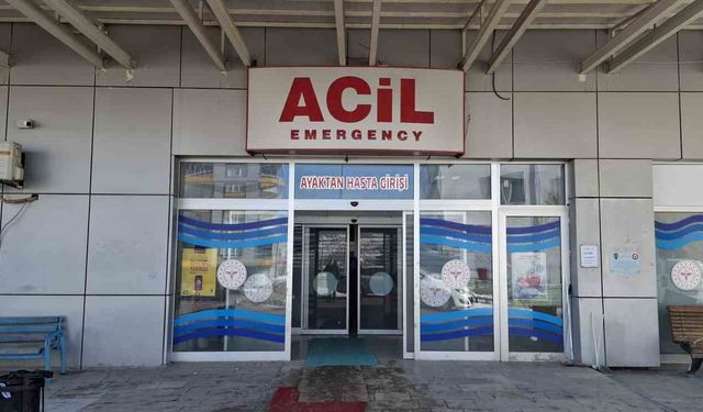 Otomobil ağaca çarptı: 1 yaralı