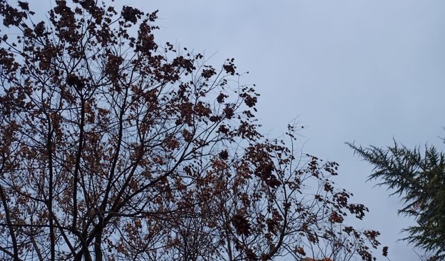 Niğde’de önümüzdeki günlerde hava nasıl olacak?