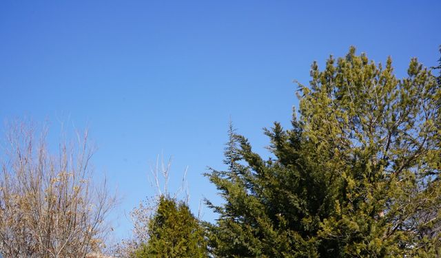 Niğde’de bahar havası etkili olacak