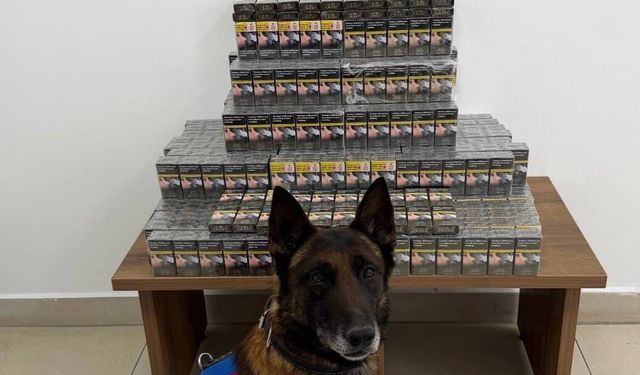 Niğde’de otobüste 800 paket kaçak sigara ele geçirildi