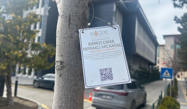 Niğde’de ağaçlara bilgi levhası uygulaması