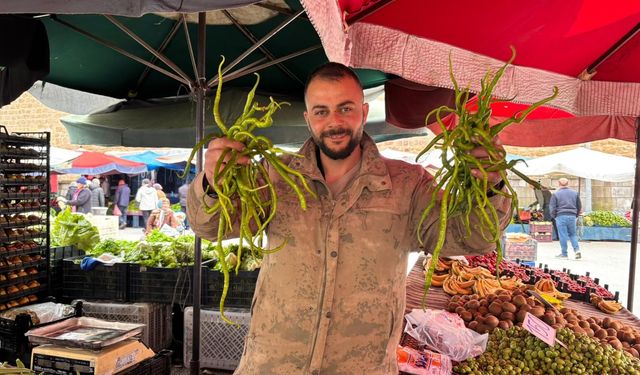 Niğde’de biber fiyatı düştü ama satışlar durgun