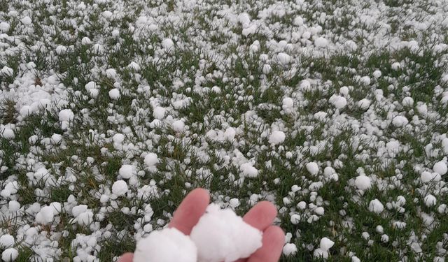 Niğde’de ceviz büyüklüğünde dolu yağdı