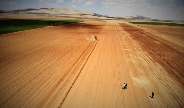 Yağışlar rekolte beklentisini arttırdı