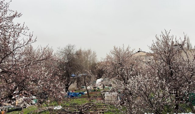 Niğde’de şemsiyeler hazırlansın