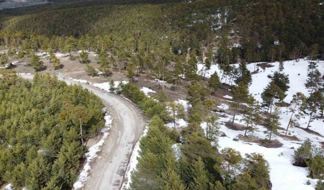 Kış ve bahar bir arada yaşanıyor