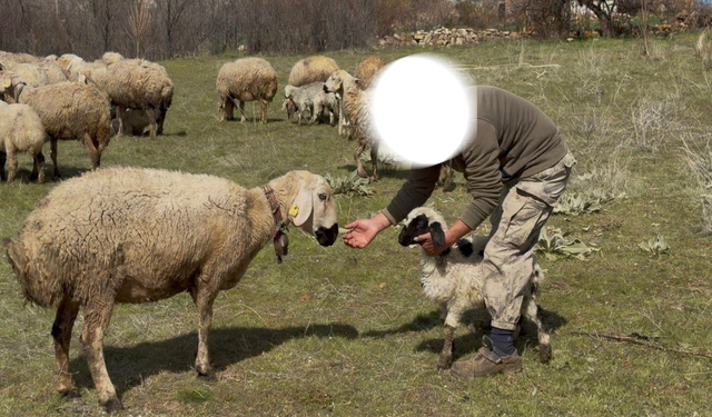 Niğde’de devlet desteğiyle yeni bir hayat kurdu